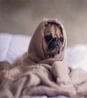 黑河有这样的手机号码，留不住钱，你中枪了吗？