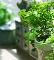 黑河专属于你的开运指南，助你鸿运当头福满身！