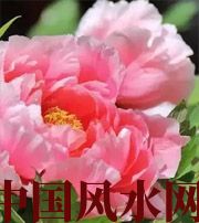 黑河预示你财运上升，姻缘可成的梦境，快来看看吧！