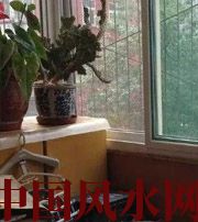 黑河有这些坏习惯，只会让财运从你身边溜走~