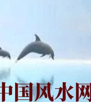 黑河做梦梦到这些，是要富裕的征兆！