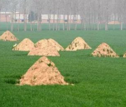 黑河阴宅风水：形峦三十六绝